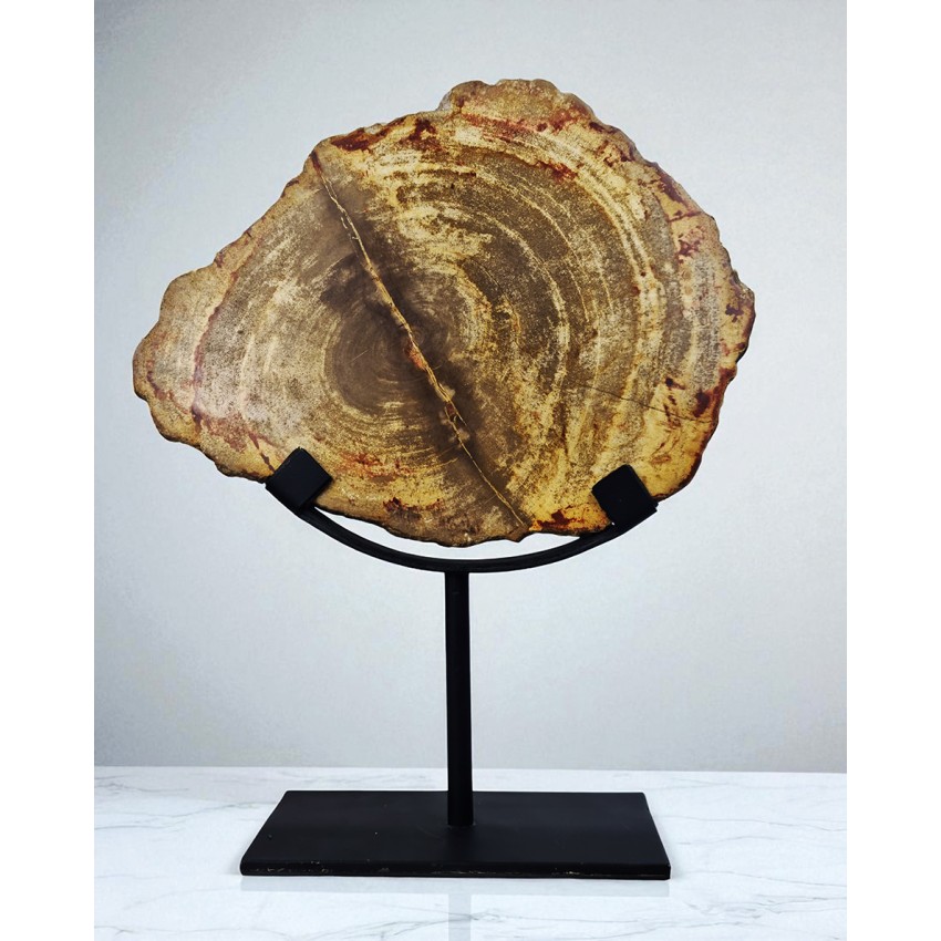 Madera fosilizada de Java.