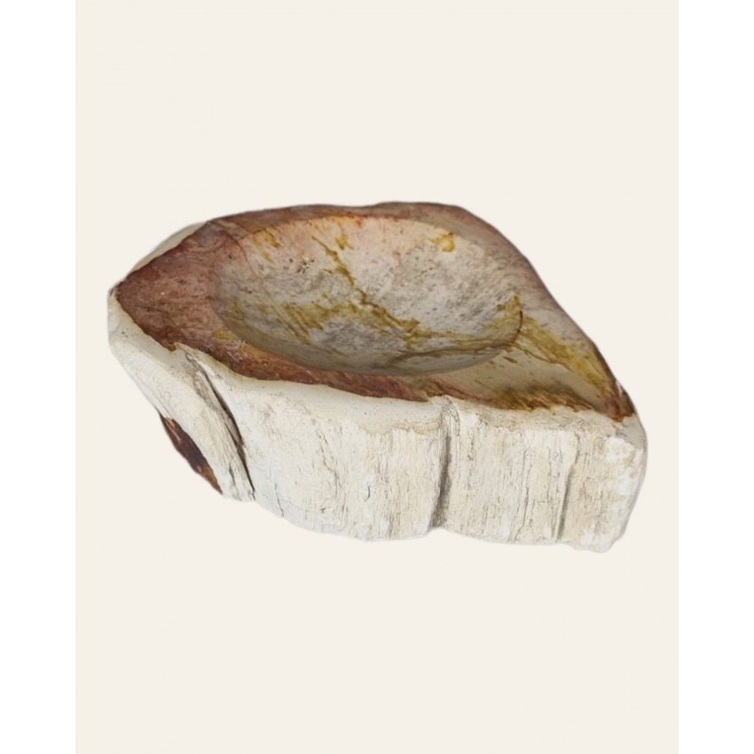 Cuenco de madera petrificada.