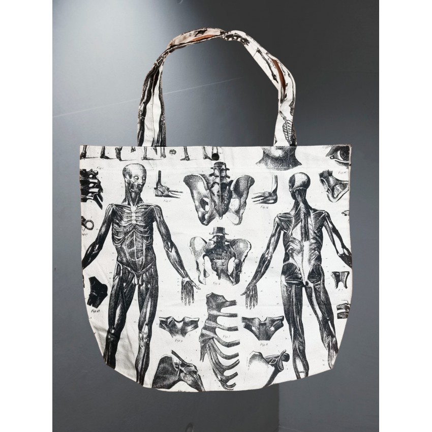 Bolso Anatomía